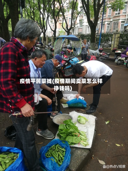 疫情平民菜摊(疫情期间卖菜怎么样挣钱吗)