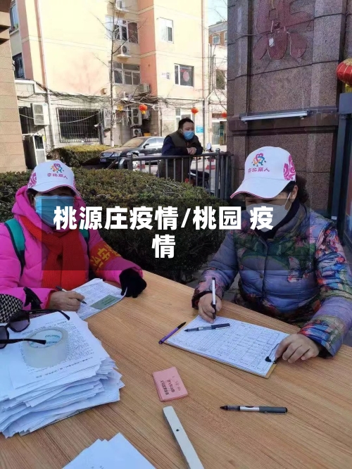 桃源庄疫情/桃园 疫情-第2张图片