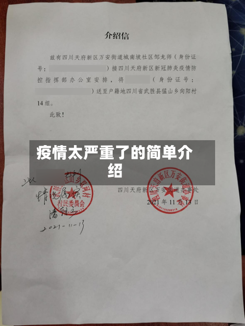 疫情太严重了的简单介绍